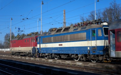 Zobrazi� cel� fotku