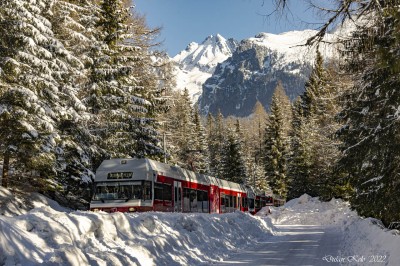 Zobrazi� cel� fotku