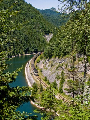 Zobrazi� cel� fotku