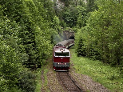 Zobrazi� cel� fotku