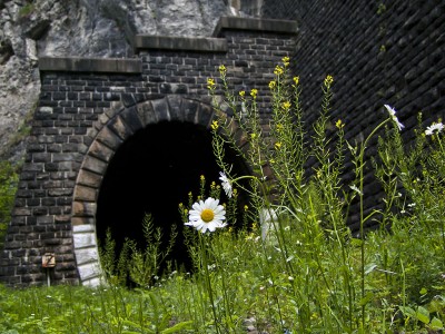 Zobrazi� cel� fotku