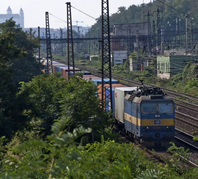 Zobrazi� cel� fotku