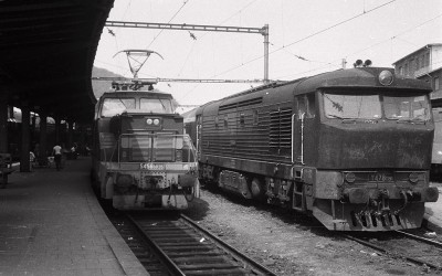 Zobrazi� cel� fotku