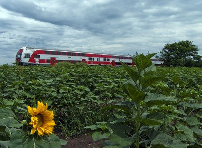 Zobrazi� cel� fotku