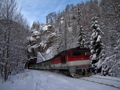 Zobrazi� cel� fotku