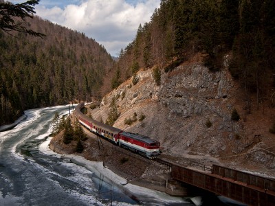 Zobrazi� cel� fotku