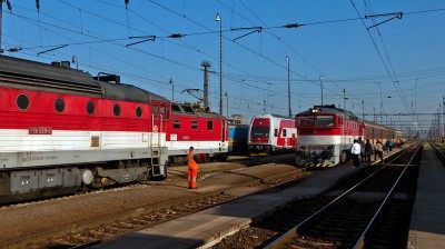 Zobrazi� cel� fotku