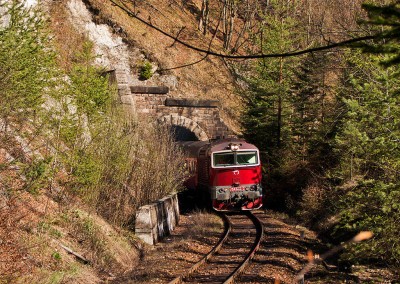 Zobrazi� cel� fotku