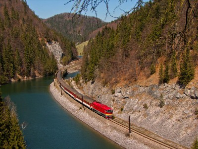 Zobrazi� cel� fotku