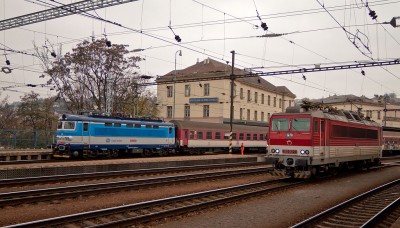 Zobrazi� cel� fotku