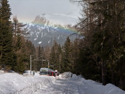 Zobrazi� cel� fotku