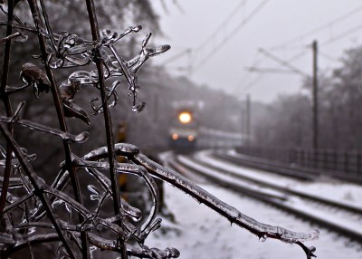 Zobrazi� cel� fotku