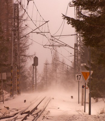 Zobrazi� cel� fotku