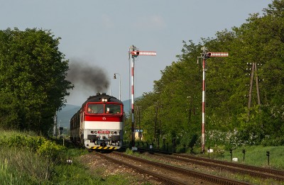 Zobrazi� cel� fotku