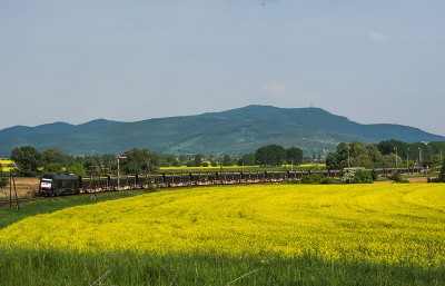 Zobrazi� cel� fotku