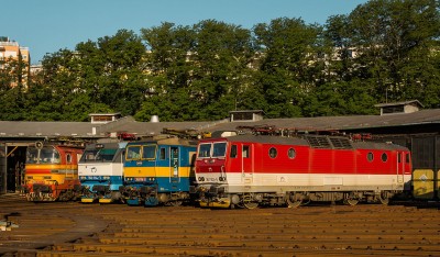 Zobrazi� cel� fotku