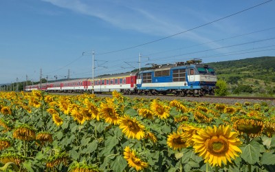 Zobrazi� cel� fotku