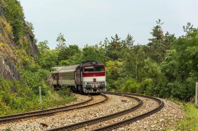 Zobrazi� cel� fotku