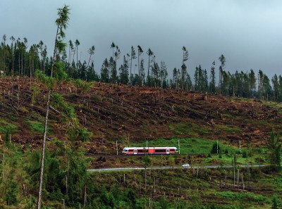 Zobrazi� cel� fotku