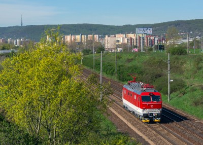 Zobrazi� cel� fotku