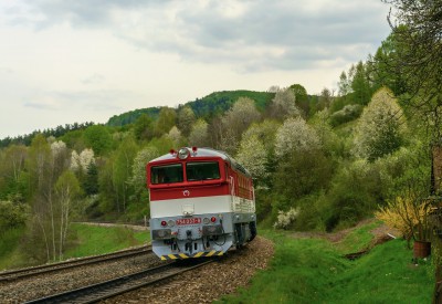 Zobrazi� cel� fotku