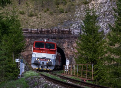 Zobrazi� cel� fotku