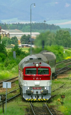 Zobrazi� cel� fotku