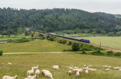 Zobrazi� cel� fotku