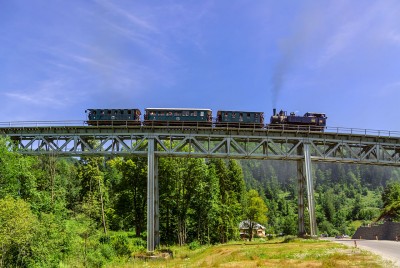 Zobrazi� cel� fotku