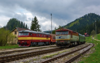 Zobrazi� cel� fotku