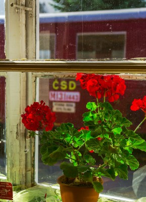 Zobrazi� cel� fotku