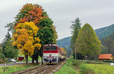 Zobrazi� cel� fotku