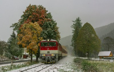 Zobrazi� cel� fotku