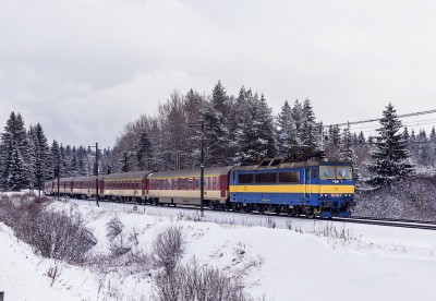 Zobrazi� cel� fotku