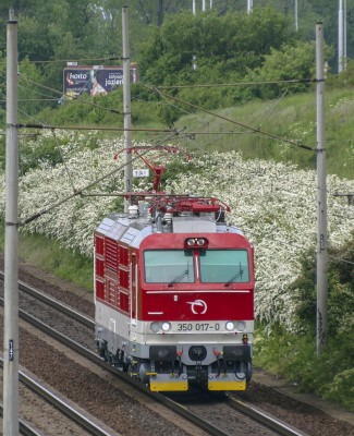 Zobrazi� cel� fotku