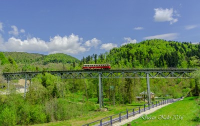 Zobrazi� cel� fotku