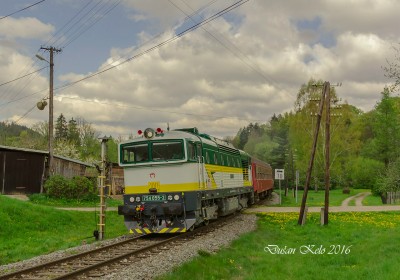 Zobrazi� cel� fotku