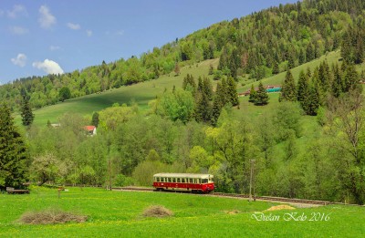 Zobrazi� cel� fotku