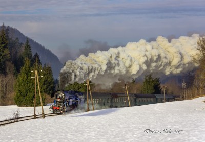 Zobrazi� cel� fotku