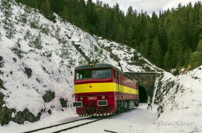 Zobrazi� cel� fotku