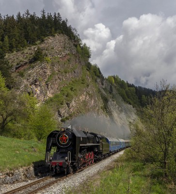 Zobrazi� cel� fotku