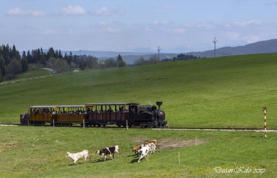 Zobrazi� cel� fotku