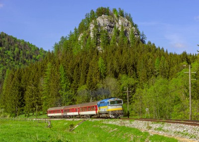 Zobrazi� cel� fotku