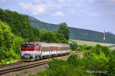 Zobrazi� cel� fotku