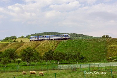 Zobrazi� cel� fotku