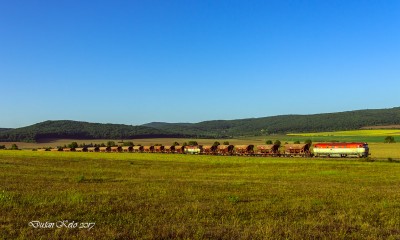 Zobrazi� cel� fotku