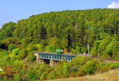 Zobrazi� cel� fotku