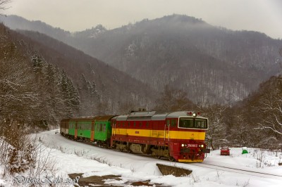 Zobrazi� cel� fotku