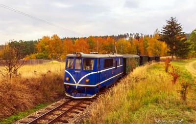 Zobrazi� cel� fotku