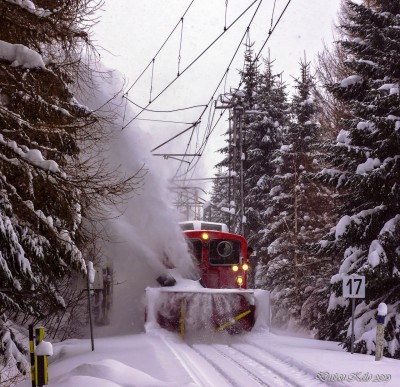 Zobrazi� cel� fotku